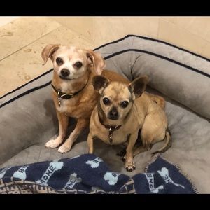 Meet your Posher, Larry